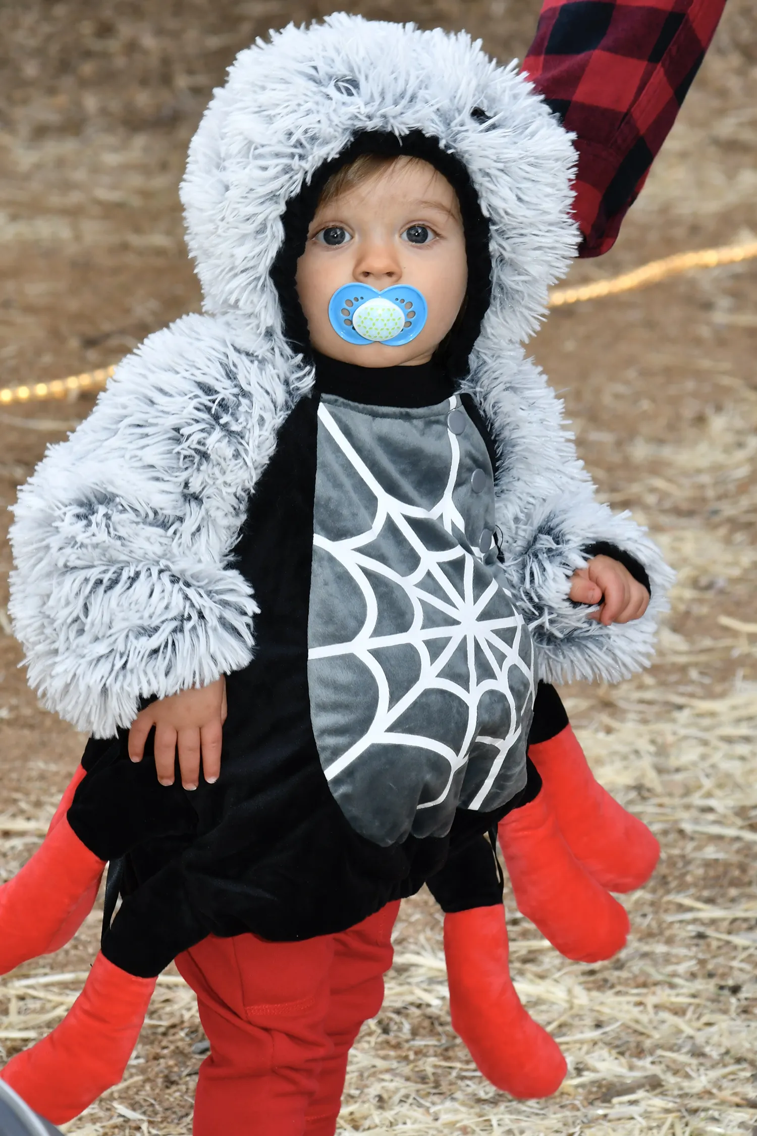 Boo at the Heritage Park Zoo Prescott