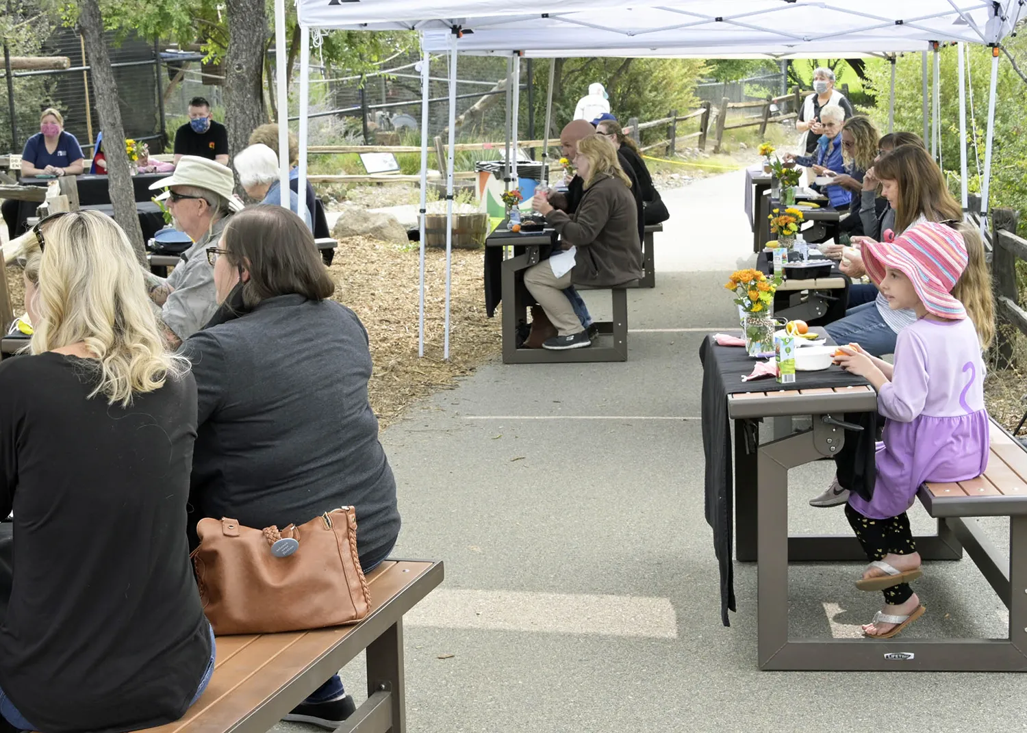 Breakfast with Animals – People Eating Breakfast with Animals - People Eating