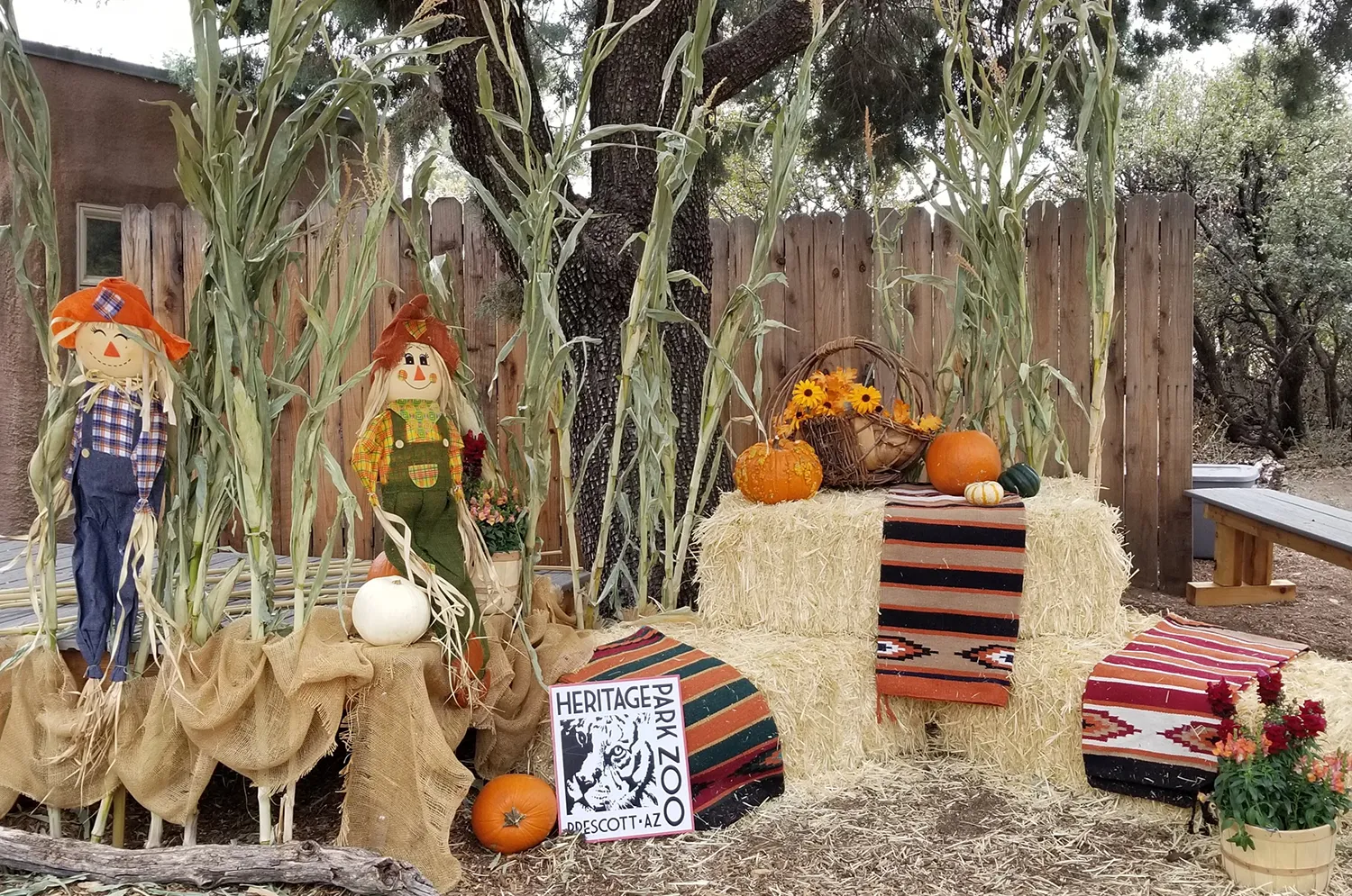 Fall Zoo Fest at Heritage Park Zoo Prescott