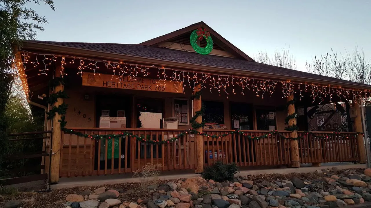 Heritage Park Zoo Red Fox Small Mammal Prescott
