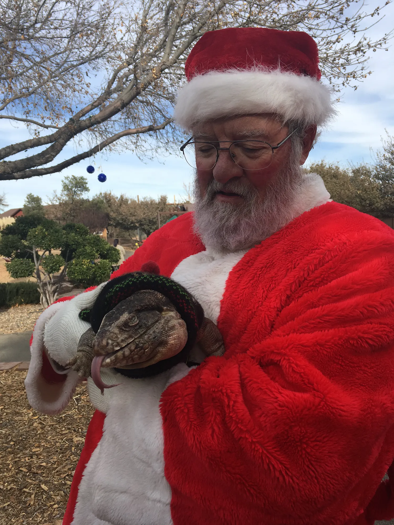 Santa with Lizard at Heritage Park Zoo Prescott