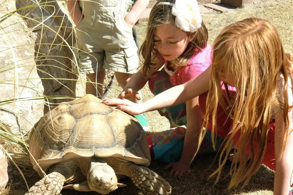 Heritage Park Zoo Prescott Kids Zoolittle Heritage Park Zoo Prescott Kids Zoolittle