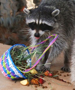 Eggstravaganza Event at HPZ