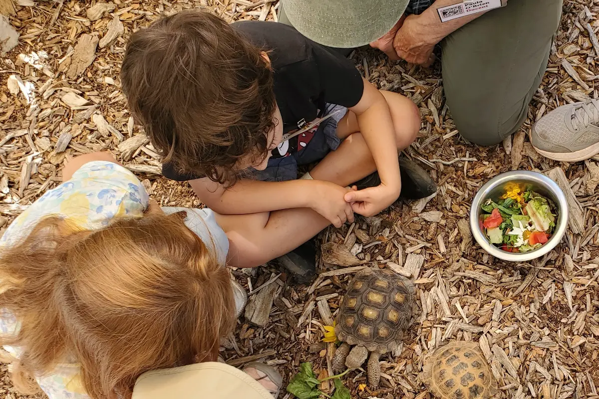 Zoolittles Program at Heritage Park Zoo